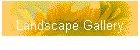 Landscape Gallery